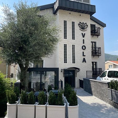 Viola Hotel בודווה מראה חיצוני תמונה